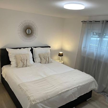Gemuetliche&Moderne Ferienwohnung Naehe Trier & Luxemburg Bollendorf Εξωτερικό φωτογραφία